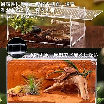 Amazon | chengshuang 爬虫類 レプタイルボックス 爬虫類 飼育箱